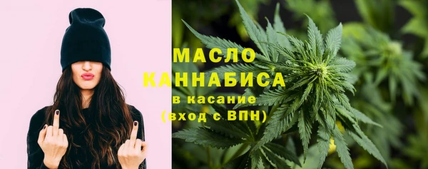 дживик Бронницы
