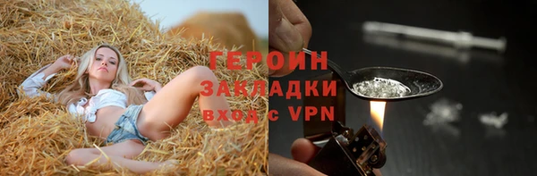 сатива Бородино