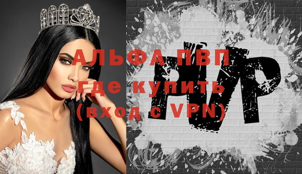 дживик Бронницы