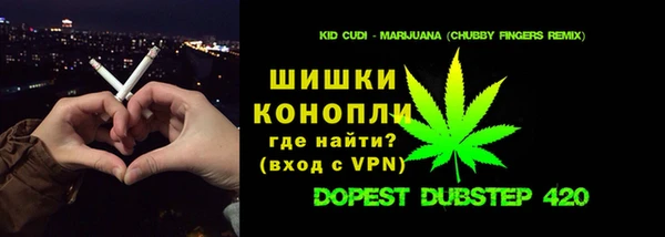 сатива Бородино