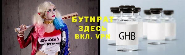 сатива Бородино