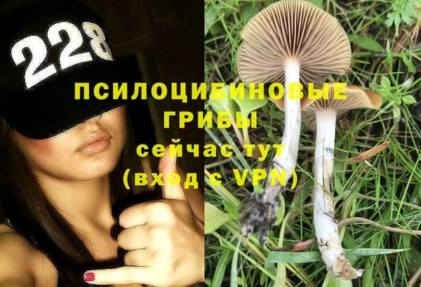 прущий лед Волосово