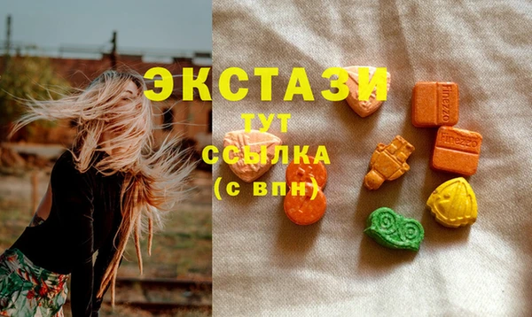 дживик Бронницы