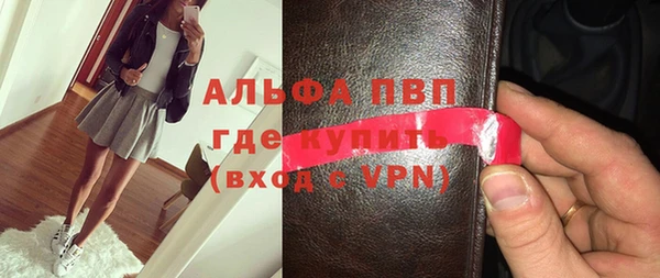 сатива Бородино