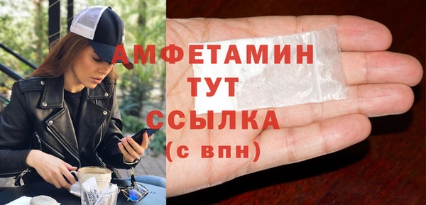 дживик Бронницы