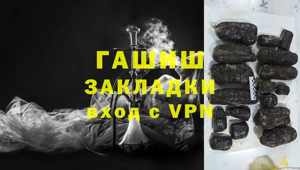 сатива Бородино