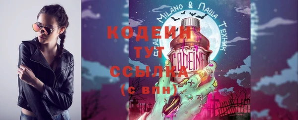 сатива Бородино
