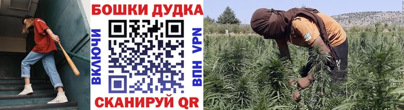 где купить Гудермес Конопля MAZAR